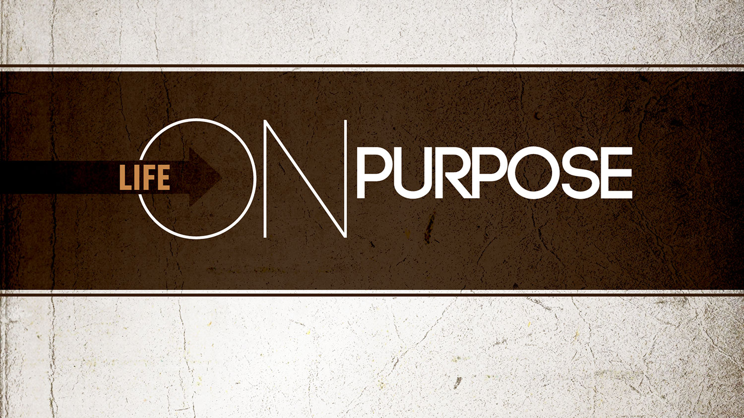 Life On Purpose